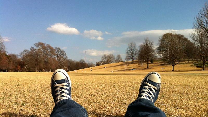 HP 27y 27 Inch Monitor: Screen Size 68.6 cm (27″)&hellip;