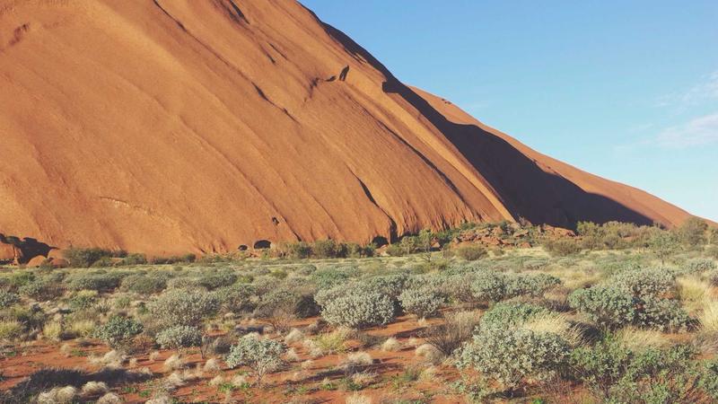 Remote Work and IT Jobs in India