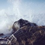 Software Development Trends in India