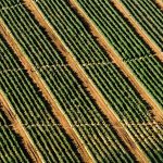 GST and E-commerce in India