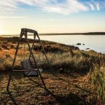 IT Support and Managed Services in India