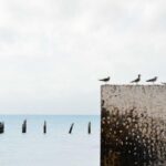 Laptop Ram (product category overview and IT requirements)