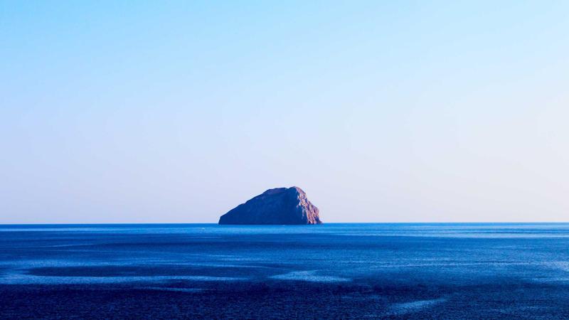 Dell Monitor (product category overview and IT requirements)