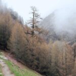 ANTEC SMPS (product category overview and IT requirements)