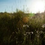 Colourful Graphic Card (product category overview and IT requirements)