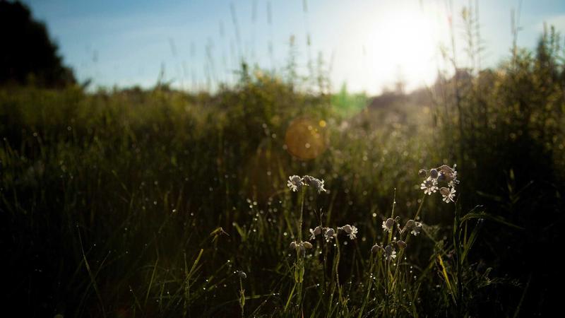 Colourful Graphic Card (product category overview and IT requirements)