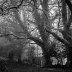 Colourful Graphic Card (product category overview and IT requirements)