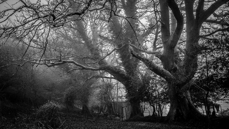 Colourful Graphic Card (product category overview and IT requirements)