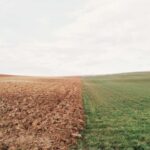 Graphic Card (product category overview and IT requirements)