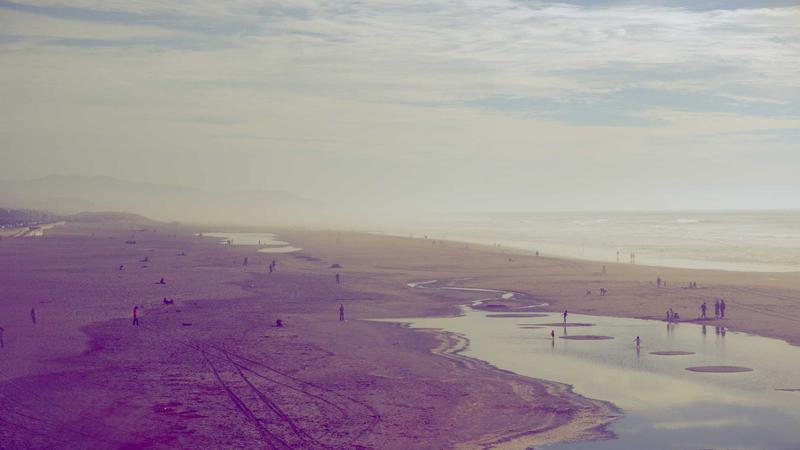 MSI Graphic Card (product category overview and IT requirements)