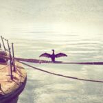 SSD Drive (product category overview and IT requirements)