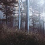 IT Procurement Best Practices