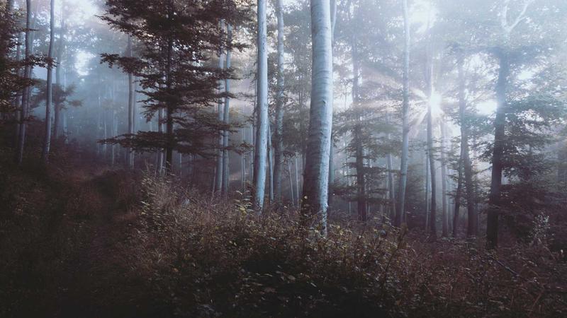 IT Procurement Best Practices