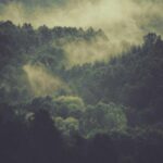 Indian Startups and Technology Trends