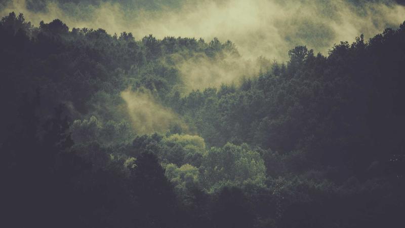 Indian Startups and Technology Trends