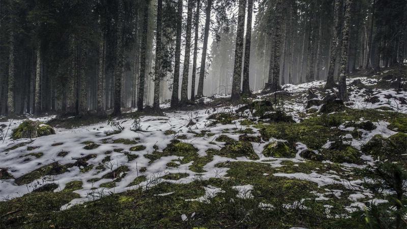 GeForce GTX 1660 Ti VENTUS XS 6G OC: Chipset: NVIDIA GeForce GTX 1660 Ti Boost clock: 1830 MHz Memory interface: 192-bit Video memory:&hellip;