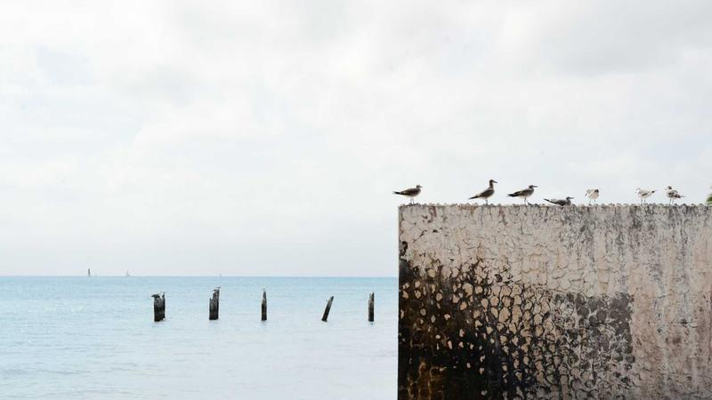 GIGABYTE (product category overview and IT requirements)