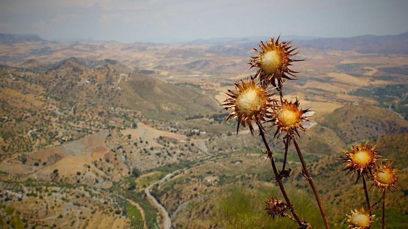 HP Elite 6300/8300 I5 3RD Refurbished Cpu: 3.1 GHz Above&hellip;